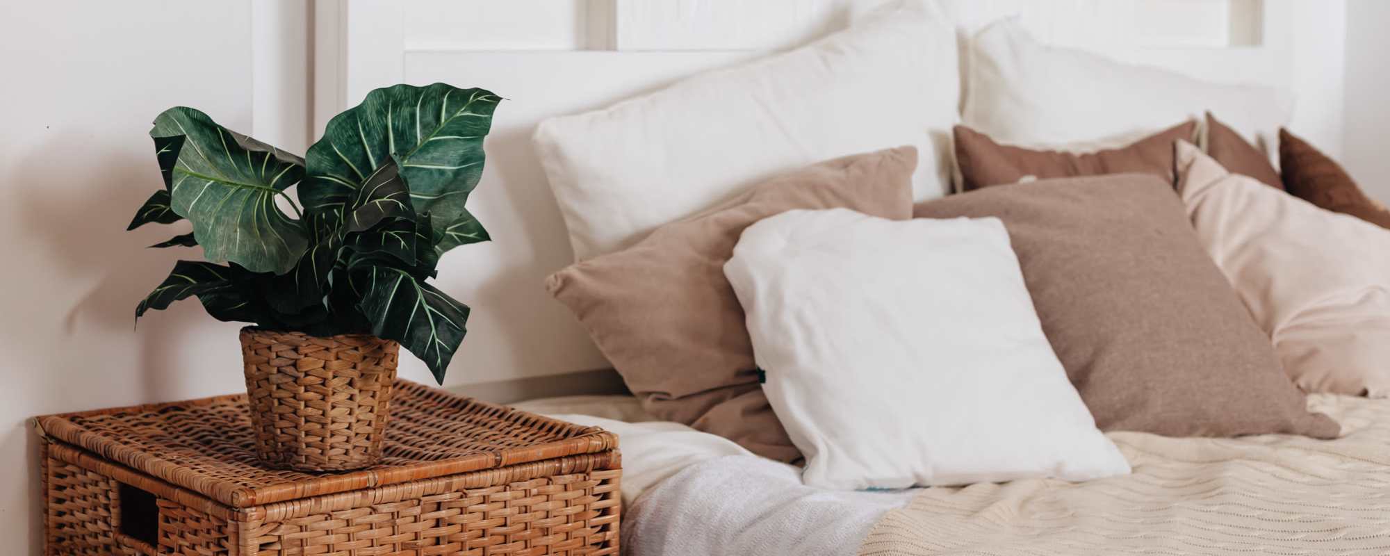 Photo Gallery | Emerald Place in Lancaster, Ohio