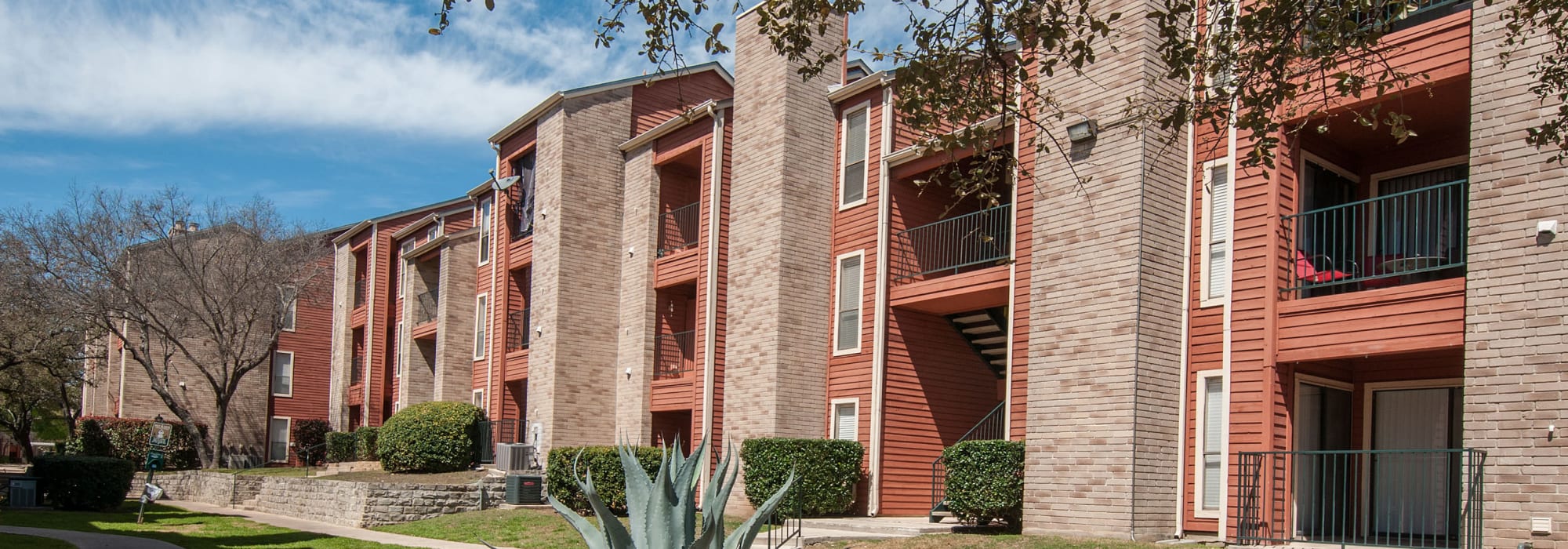 Neighborhood at Ashley Oaks in San Antonio, Texas