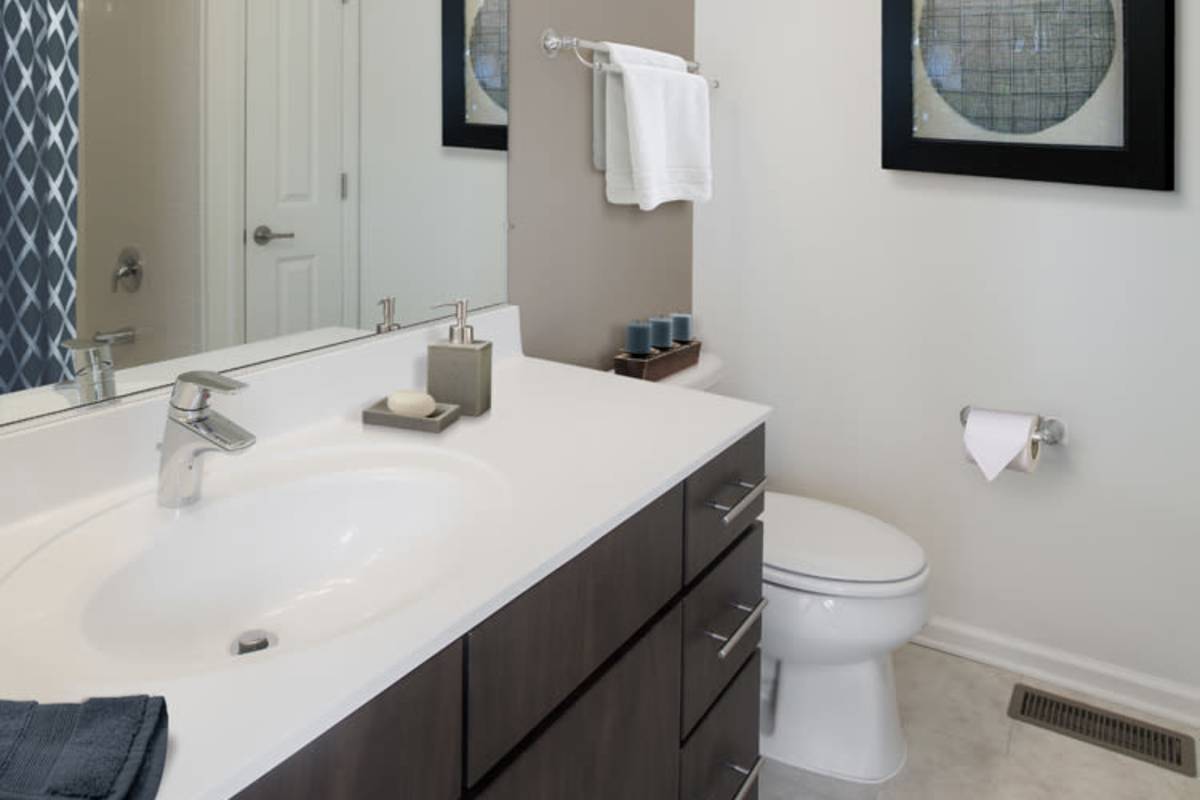 Bright bathroom with mirror, sink, storage space and commode at Grove at Somerset in Somerset, New Jersey