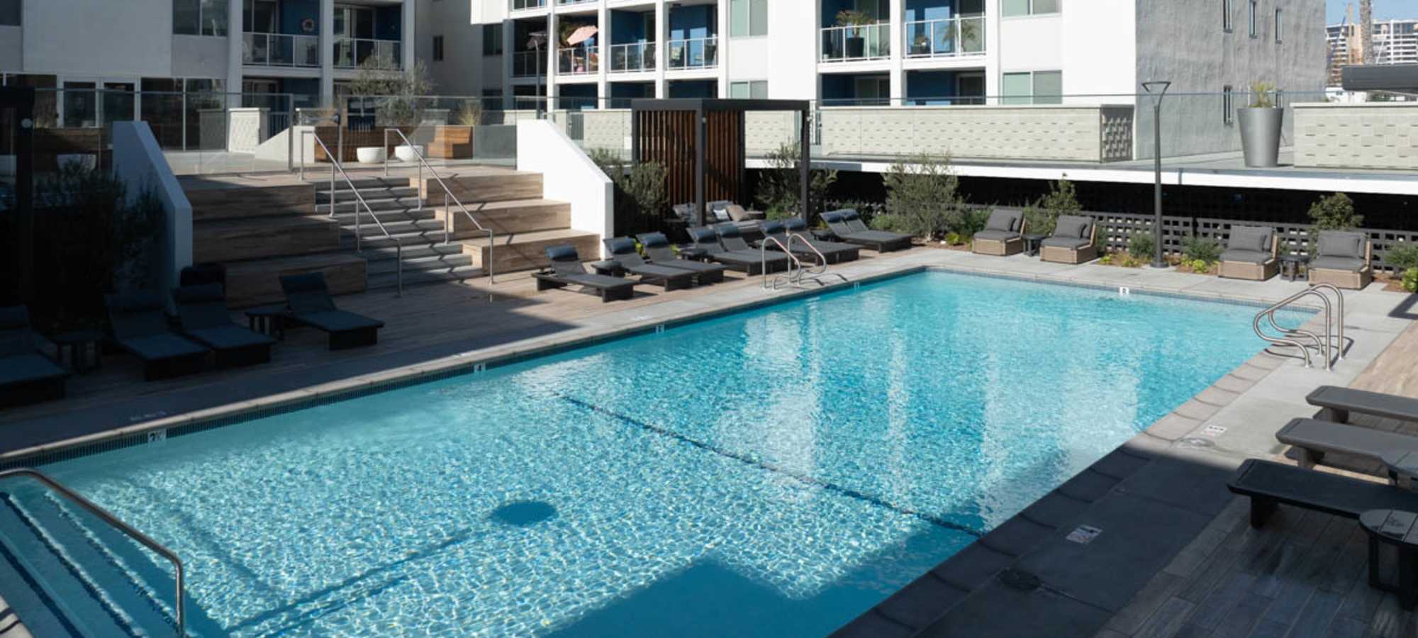 Sparkling resort-style pool surrounded by lounge chairs and landscaped greenery at Dolphin Marina Apartments in Marina Del Rey, California