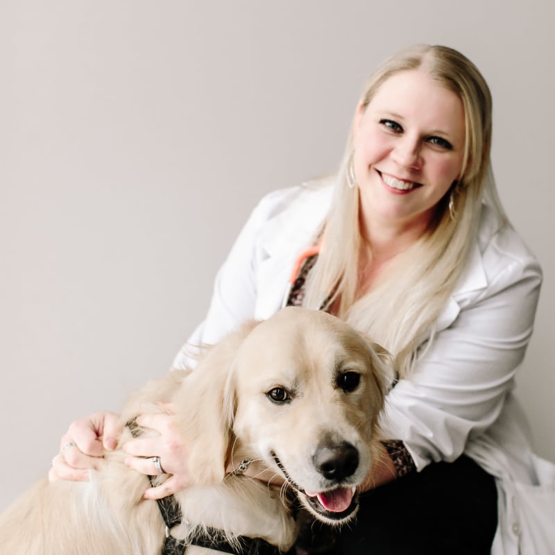 Kati Ryndak, DVM at Tonawanda Veterinary Clinic