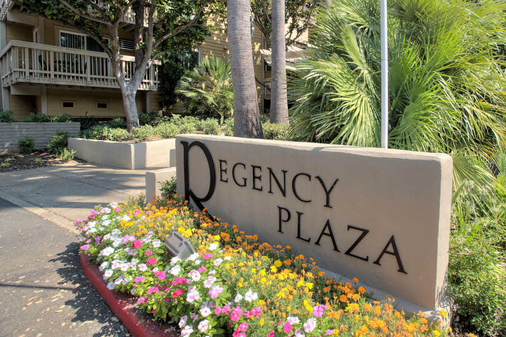 Beautiful landscaping with flowers at Regency Plaza Apartment Homes in Martinez, California