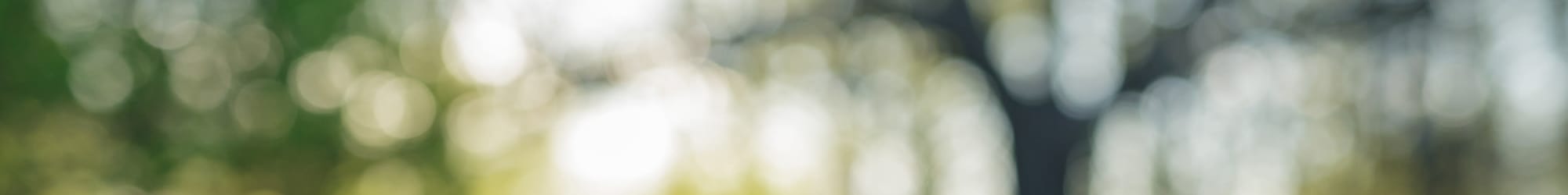 Contact Us at Park Row Senior Apartments in Bowling Green, Kentucky