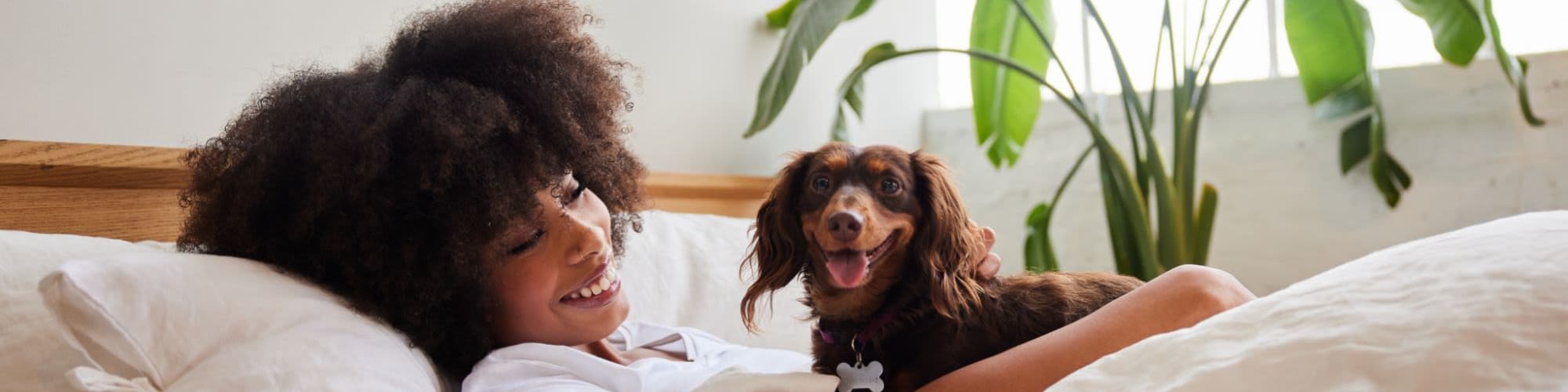 Pet Friendly Apartments for Rent in North Charlottesville