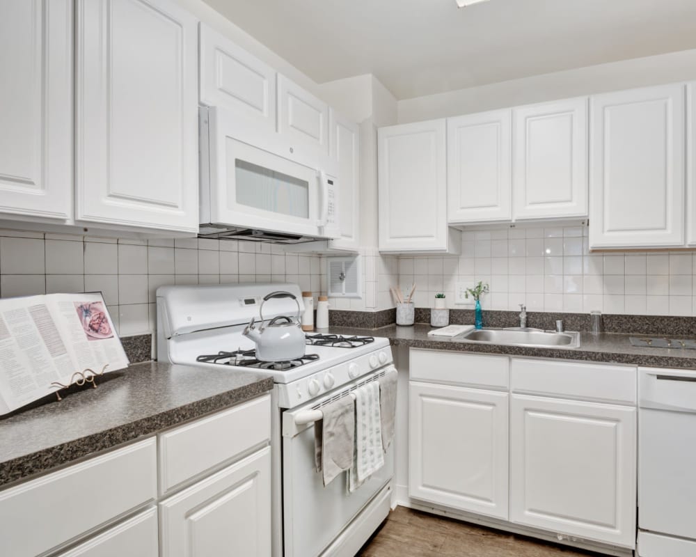 Modern Kitchen at Willow Run at Mark Center Apartment Homes in Alexandria, Virginia