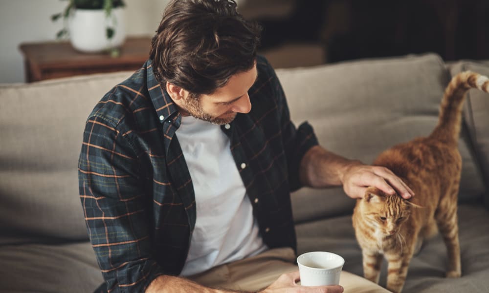 Resident petting their cat at Oaks Lincoln Apartments & Townhomes in Edina, Minnesota