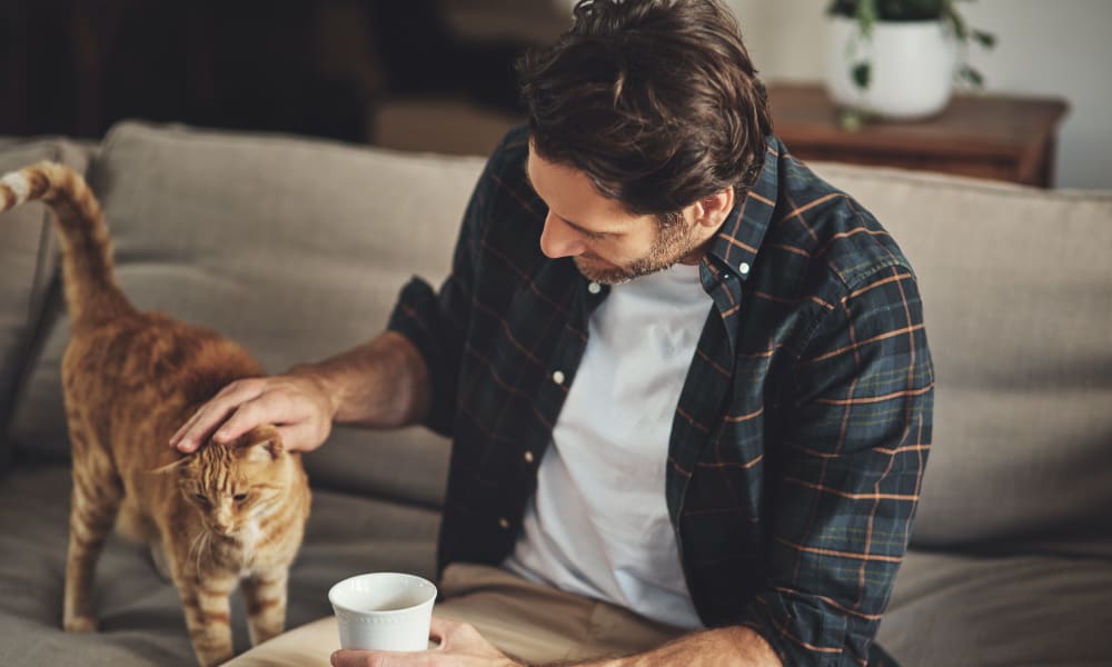 Resident petting their cat at Oaks Minnehaha Longfellow in Minneapolis, Minnesota