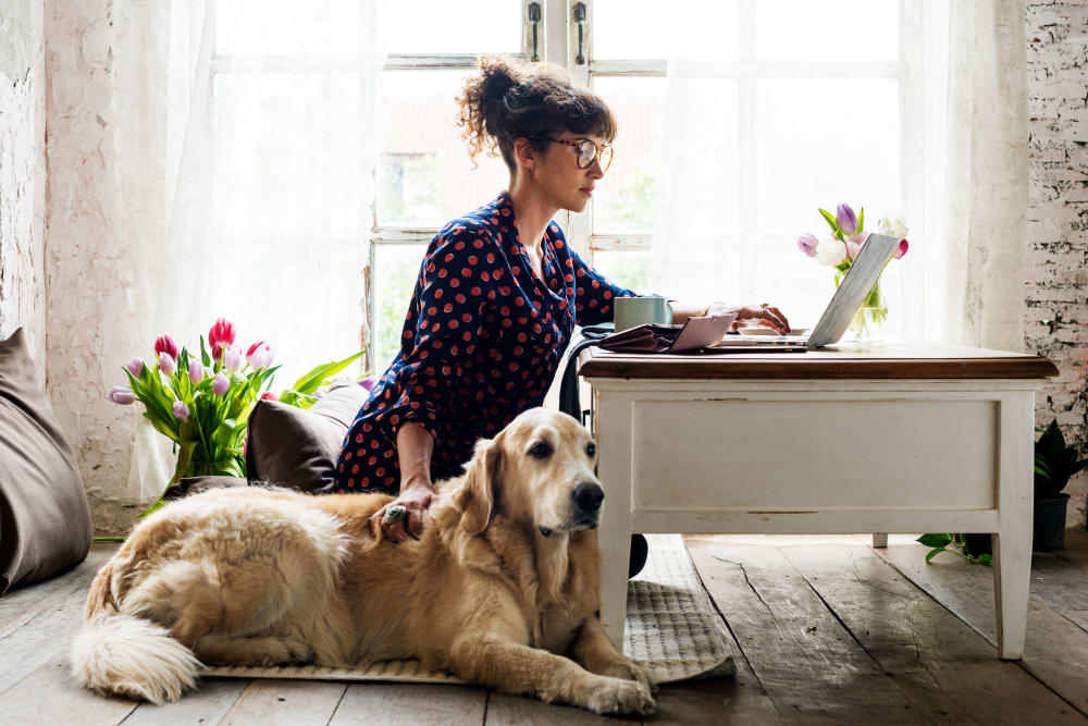 A women and her dog enjoying their new home at Sierra Del Oro Apartments in Corona, California