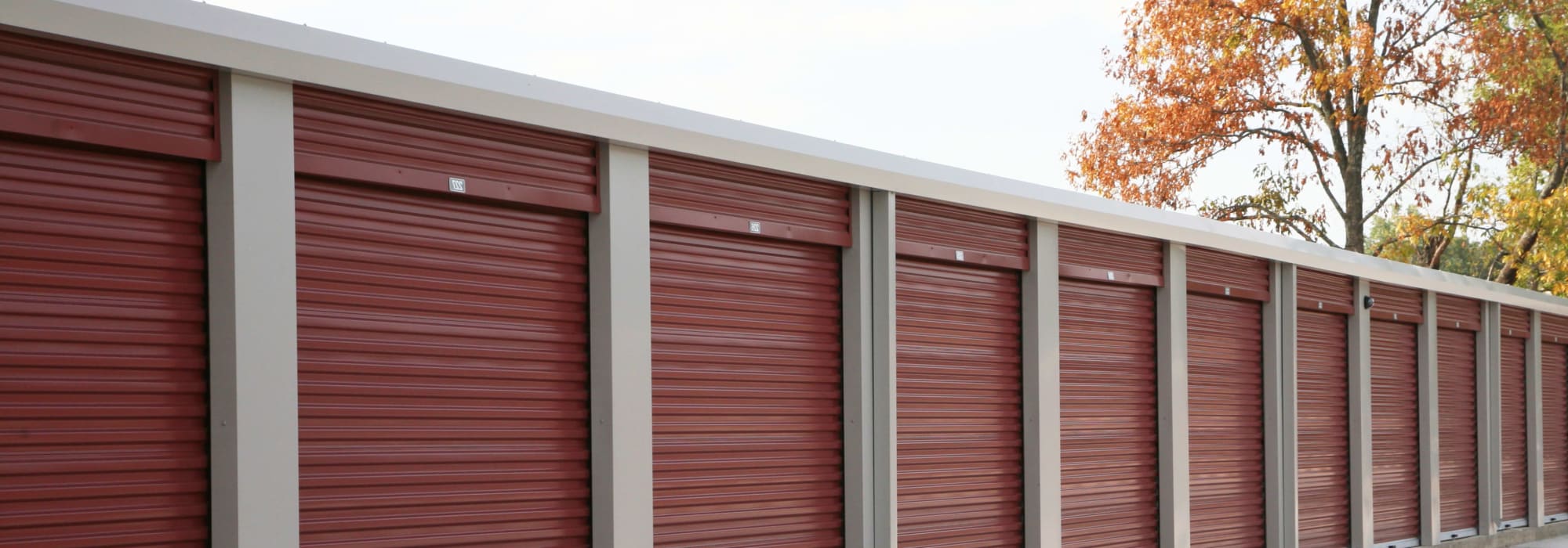 Storage In Saginaw Mi Dandk Organizer