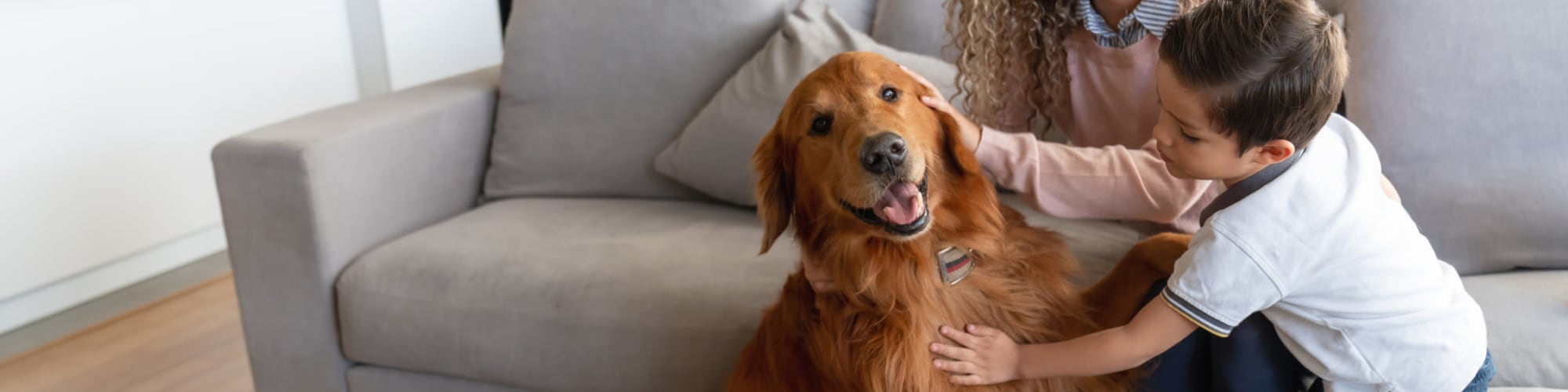 Get a Quote Ridgeway Apartments