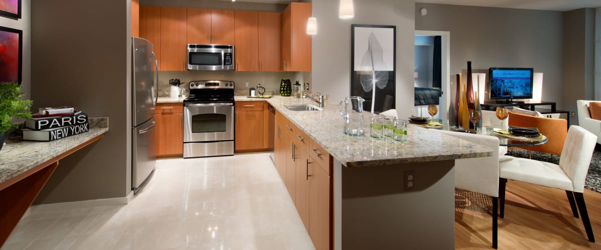 Modern kitchen with wood cabinets at Solaire 1150 Ripley in Silver Spring, Maryland