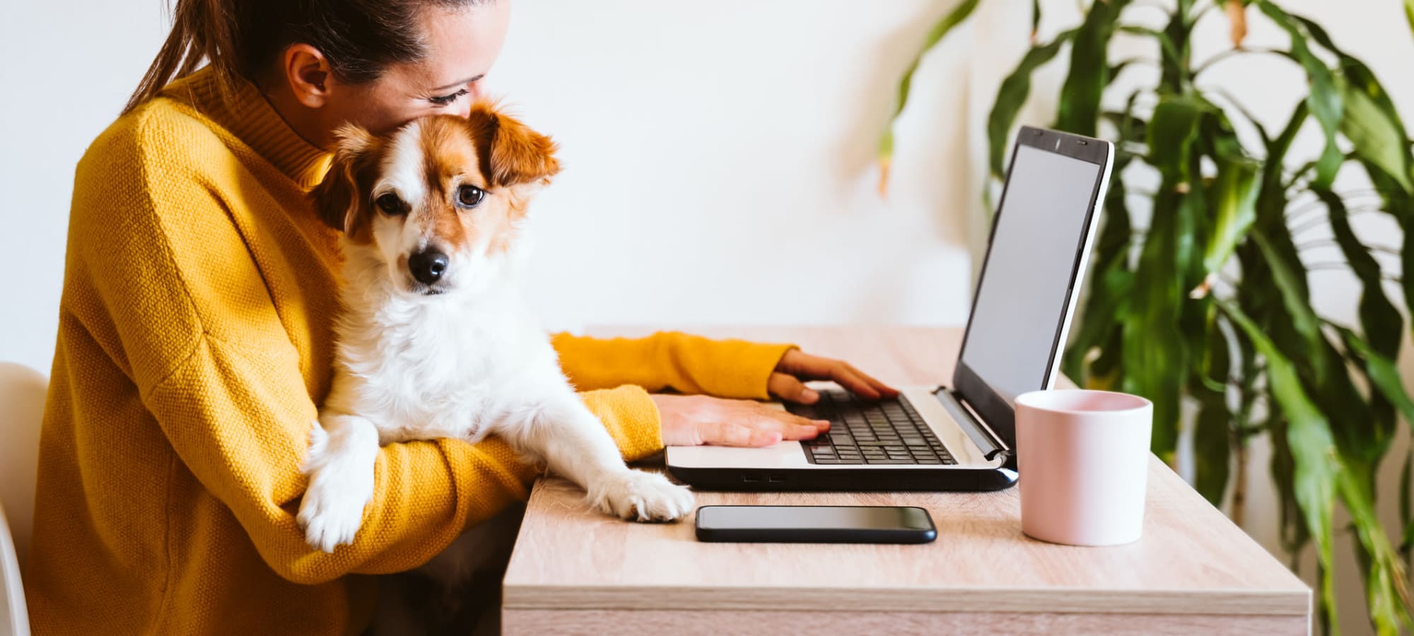 Pet policy at Regents West at 26th in Austin, Texas
