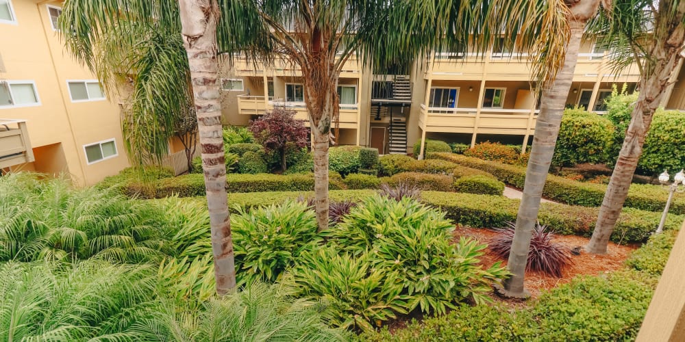 Lush interior courtyard with trees and bushes at Bayfair Apartments in San Lorenzo, California