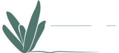 The Village at Lakewood