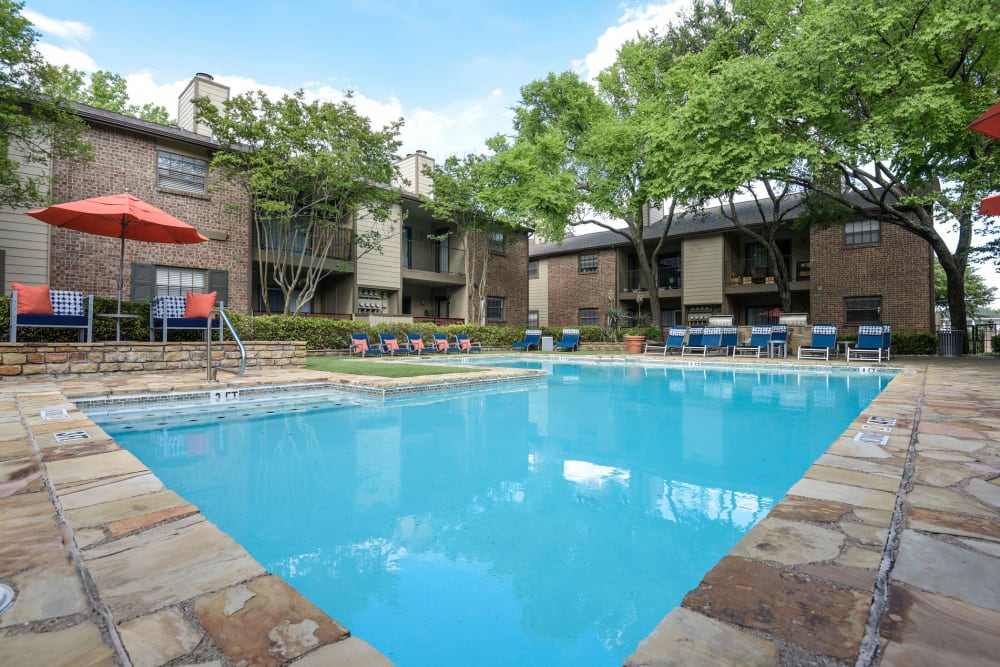 Pool at The Regent in Dallas, Texas