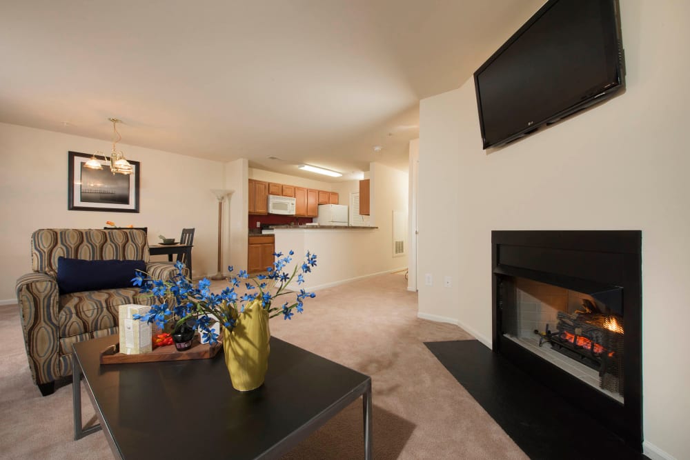 Spacious layout with plush carpeting at Park Villas Apartments in Lexington Park, Maryland