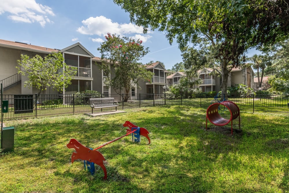 Onsite dog park at The Vue at Baymeadows Apartment Homes in Jacksonville, Florida