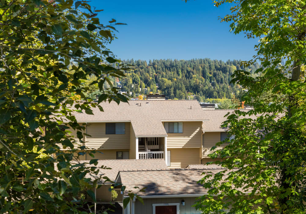 Outdoor walkway at The Knoll Redmond in Redmond, Washington