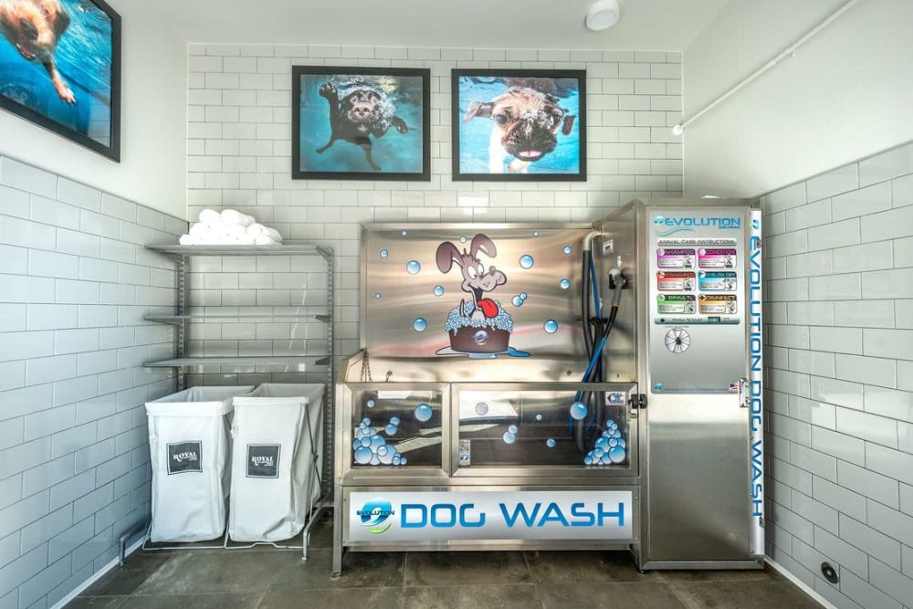 Dog wash station at Switchyard in Carrollton, Texas