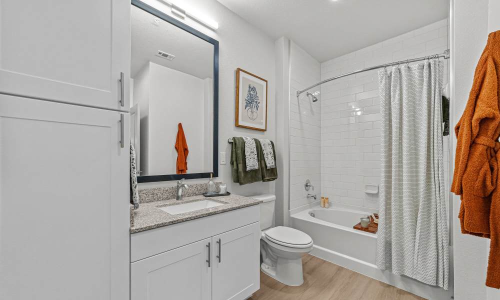 Bright bathroom at Main and Mill in Lewisville,Texas