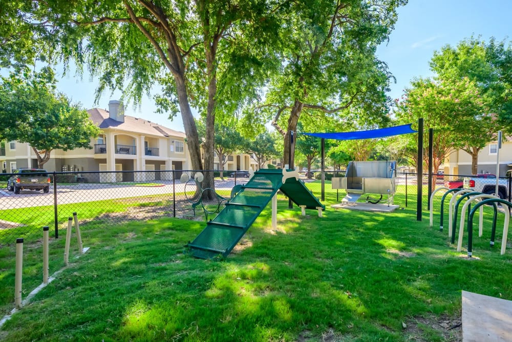 Onsite dog park with agility course at 23Hundred @ Ridgeview in Plano, Texas