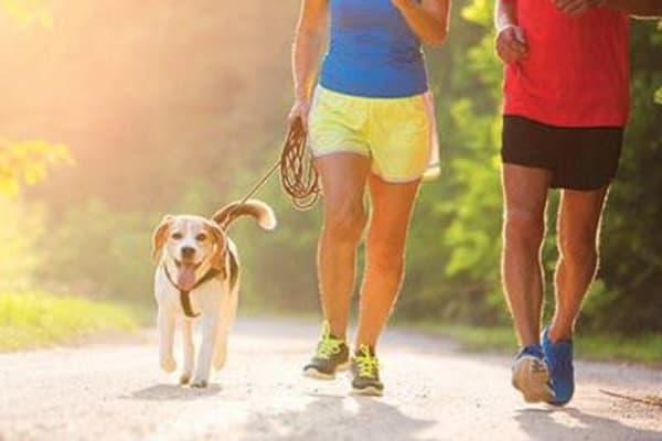 Couple jogging with dog outside of Solon Club Apartments in Oakwood Village, Ohio