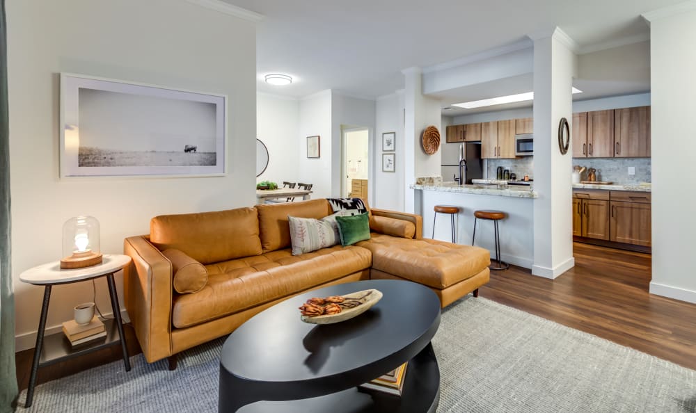 Modern styled living room at Riata Austin in Austin, Texas