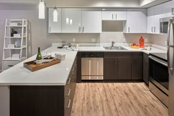 Quartz countertops at The Maverick in Burien, Washington