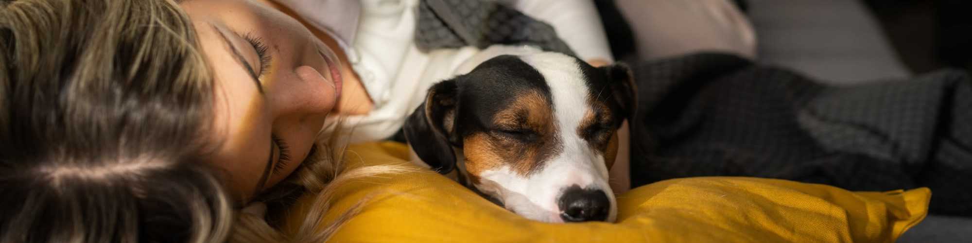 Pet Friendly at The Abbey at Regent's Walk in Homewood, Alabama