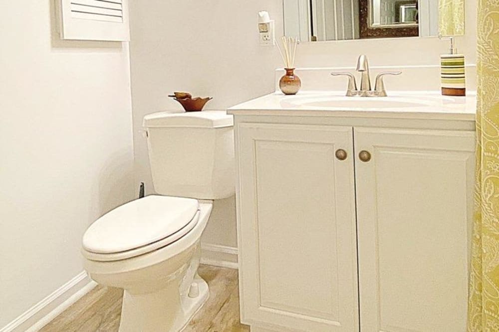 Bathroom at Glade Creek Apartments in Roanoke, Virginia
