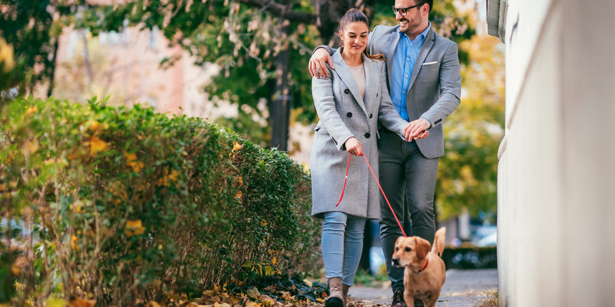 A resident couple with their dog at West Hartford Collection in West Hartford, Connecticut