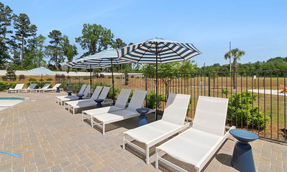 Resort-style pool area with lounge chairs and striped umbrellas surrounded by greenery at Everett at Port Wentworth in Port Wentworth, Georgia