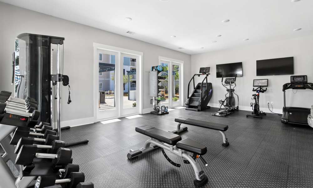 Modern fitness center with cardio machines, weights, and large windows overlooking outdoor space at Everett at Port Wentworth in Port Wentworth, Georgia