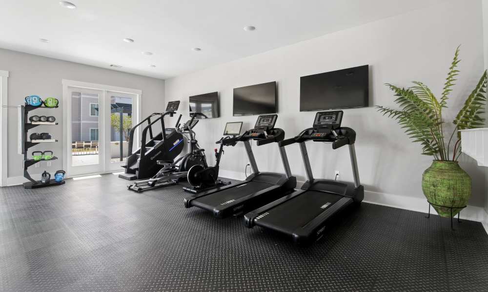 Modern fitness center with treadmills, elliptical, weights, and large windows for natural light at Everett at Port Wentworth in Port Wentworth, Georgia