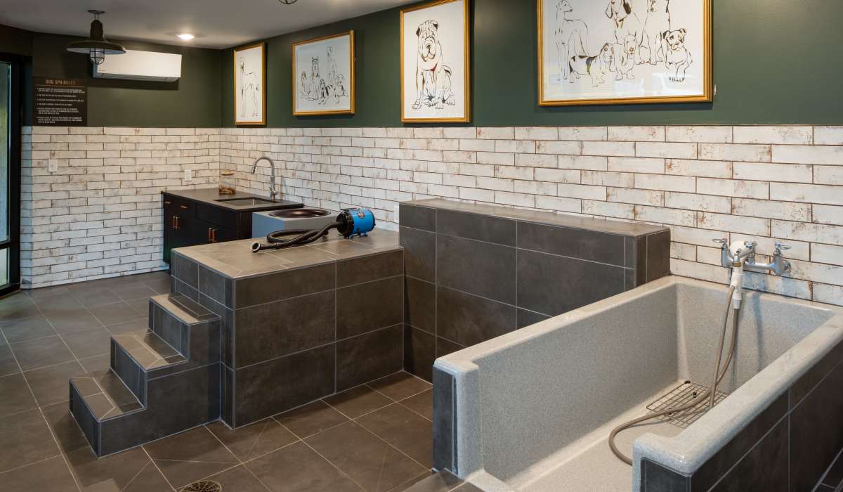 Pet washing station at Venable Durham Apartments in Durham, North Carolina