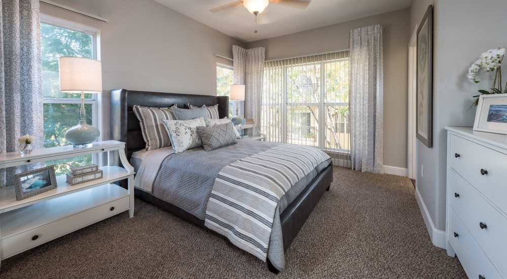 Spacious bedroom with a large bed a ceiling fan at The Carlyle in Santa Clara, California