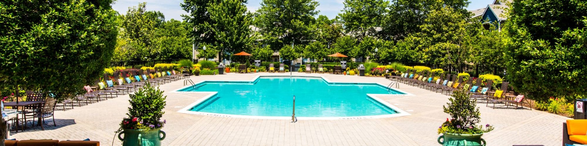 Connect with Marquis at Silverton in Cary, North Carolina