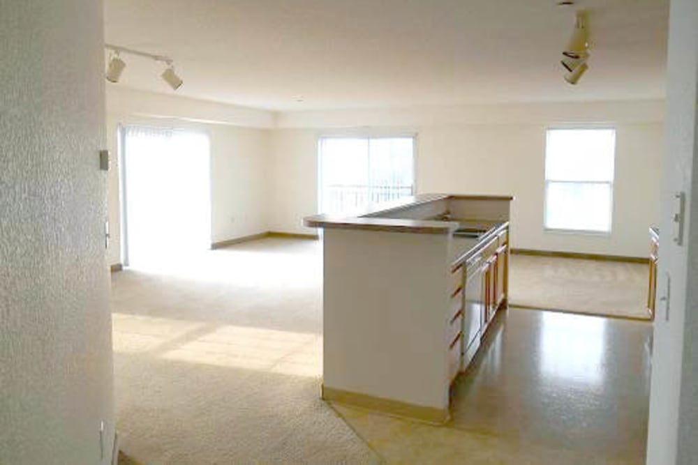 Kitchen island at Falcon Heights in Falcon Heights, Minnesota