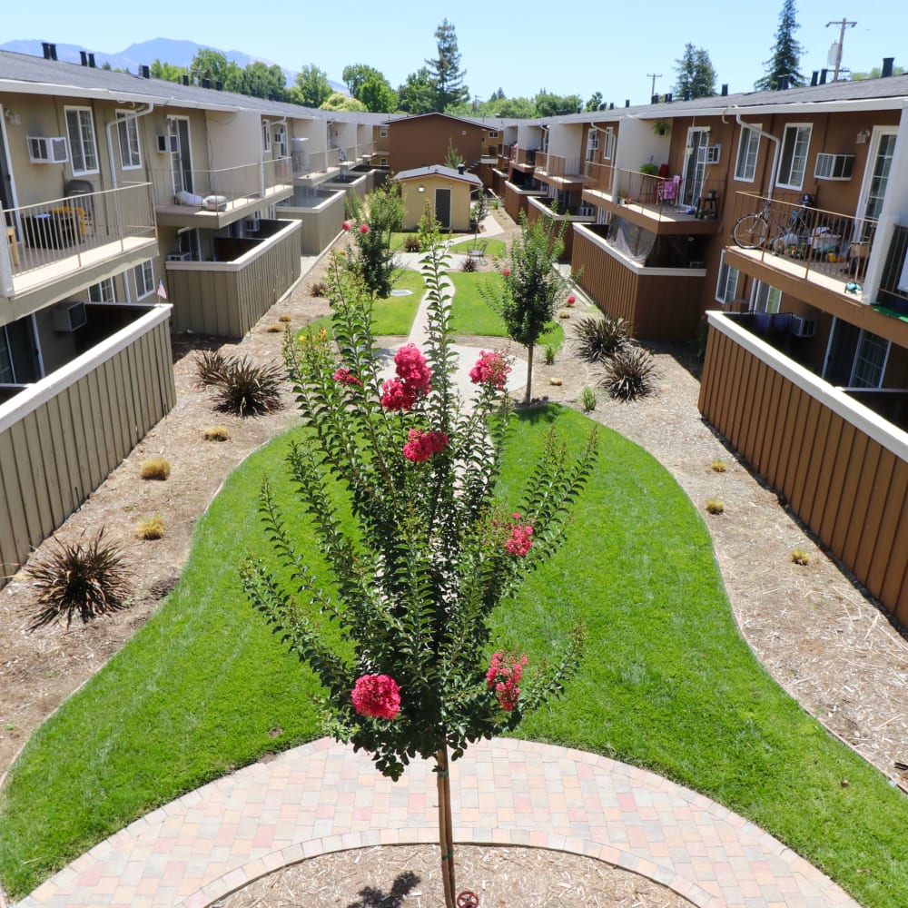 Landscaped courtyard at Mountain View Apartments in Concord, California