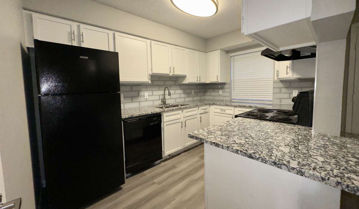 Modern kitchen at Villa De Oro in San Antonio, Texas