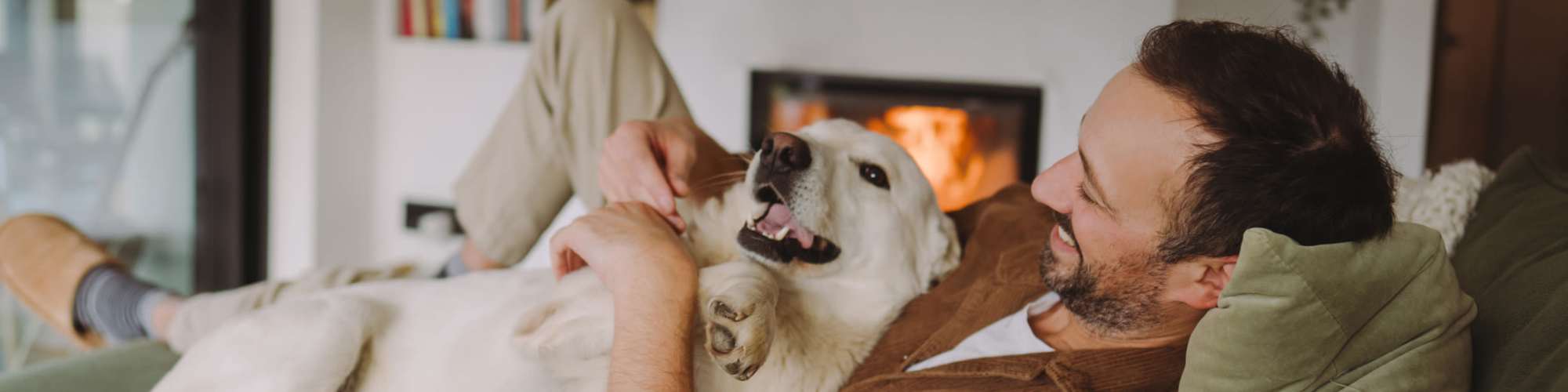 Pet Friendly | The Current in Oklahoma City, Oklahoma