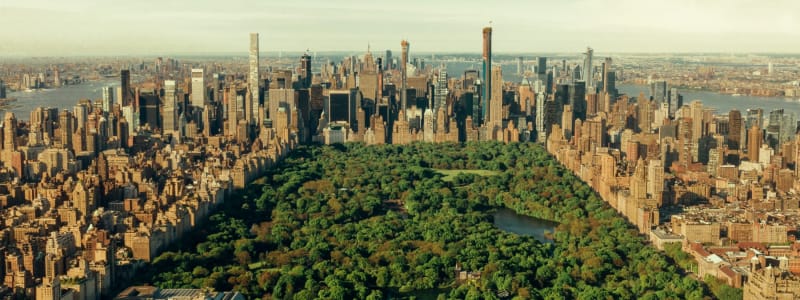 View from above the incredible central park near Eastgold NYC in New York, New York