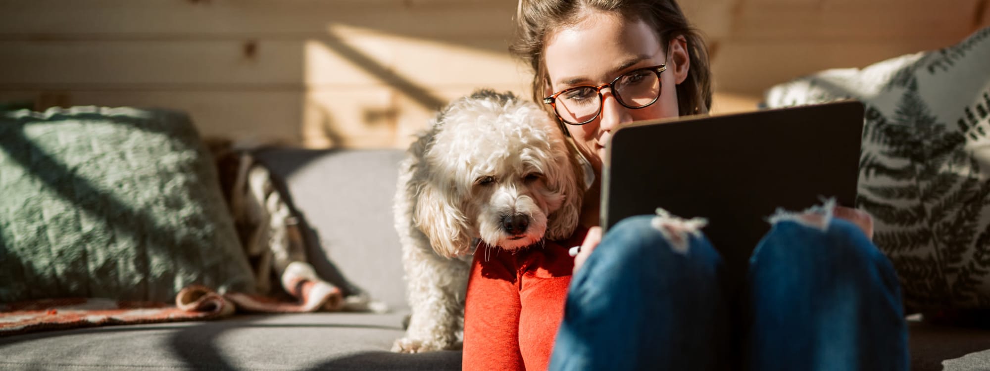 The Wesley's pet policy in Denver, Colorado