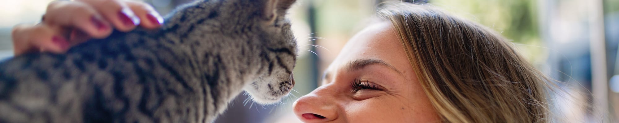 Pet policy at K Street Flats Apartment Homes in Berkeley, California
