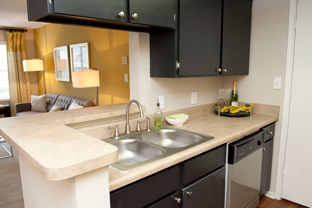 Kitchen with black cabinetry, double stainless steel sink, and a dishwasher at Castlegate Collier Hills in Atlanta, Georgia