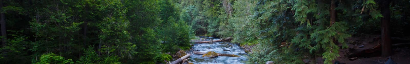 Contact us at The Landing a Senior Living Communityin Roseburg, Oregon