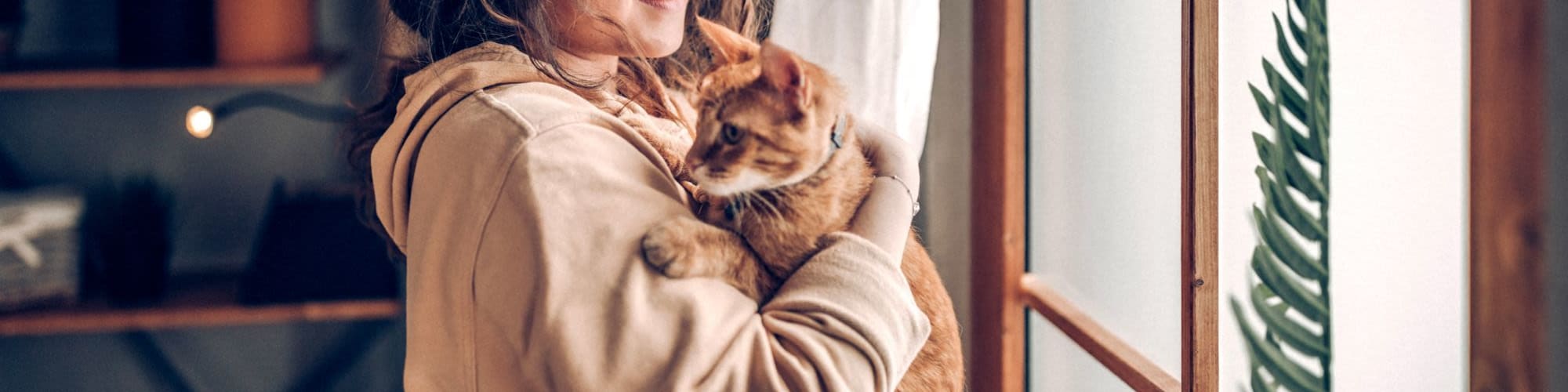 Pet Friendly at NorthPointe in Greenville, South Carolina