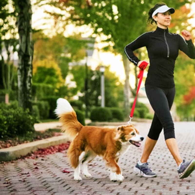 Resident walking her dog at Senita on Cave Creek in Phoenix, Arizona