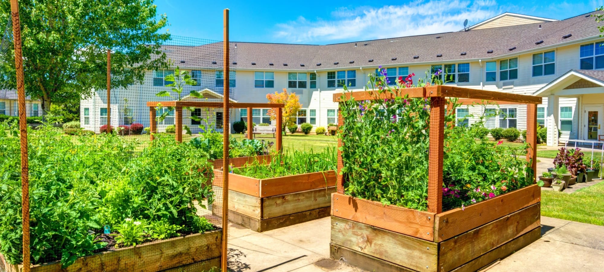 Vineyard Heights offers independent and assisted living options in McMinnville, Oregon