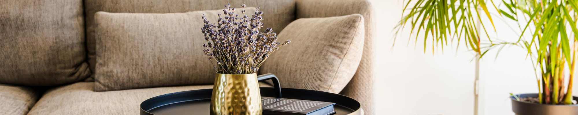 Privacy Policy for The Madison Ames in Ames, Iowa